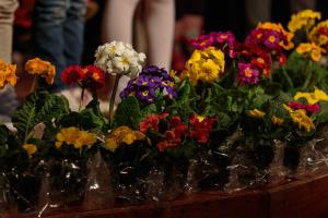 Praznovanje materinskega dne 7